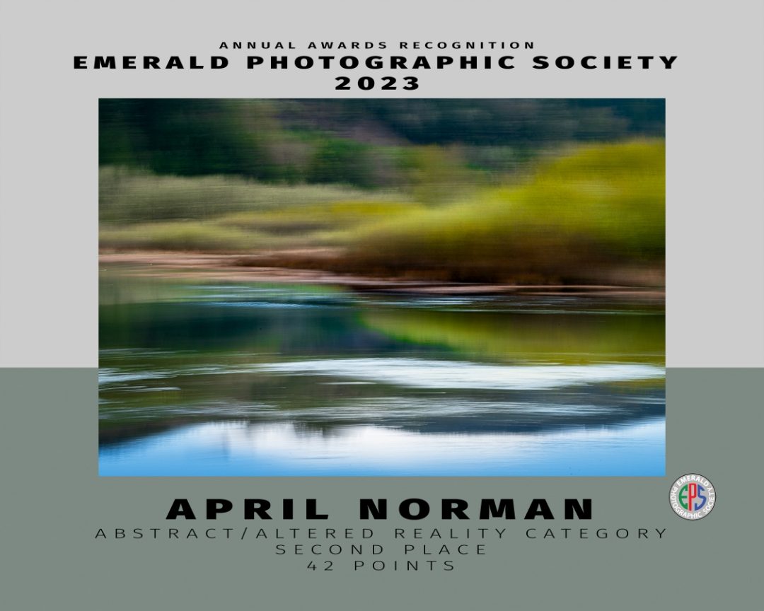 003 abstract 2 norman_s
