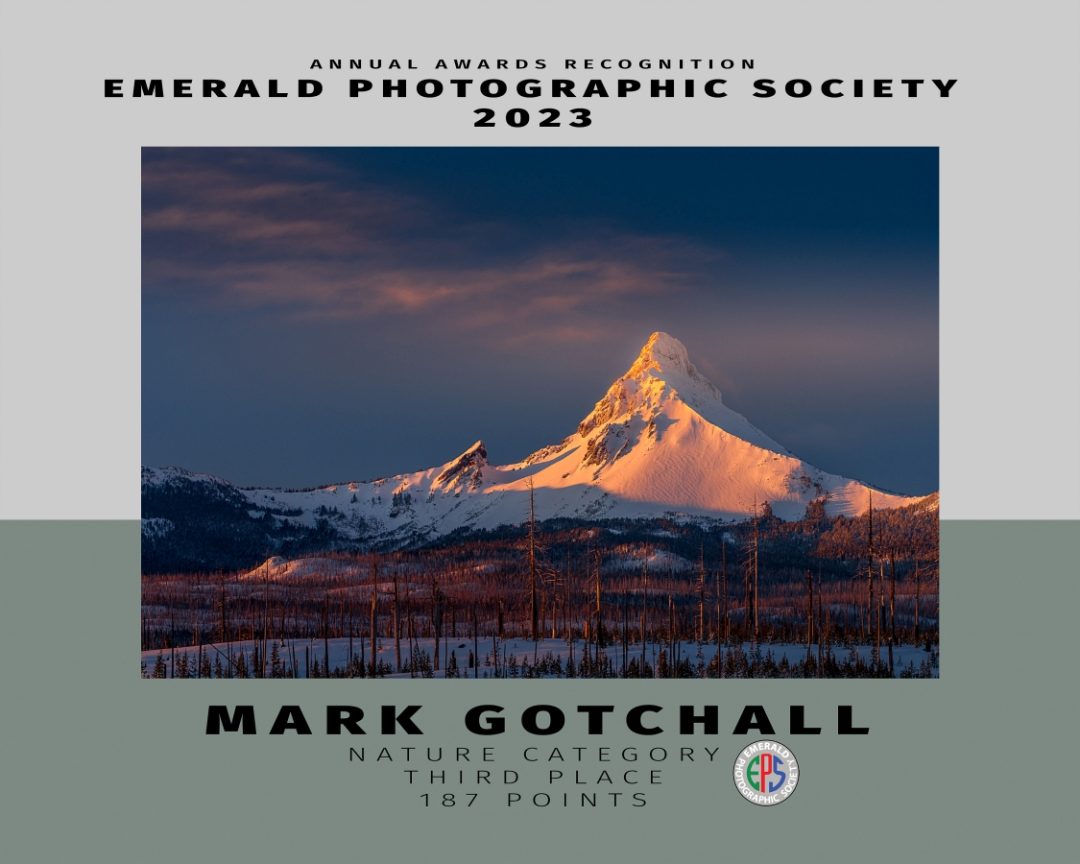 009 nature 3 gotchall_s