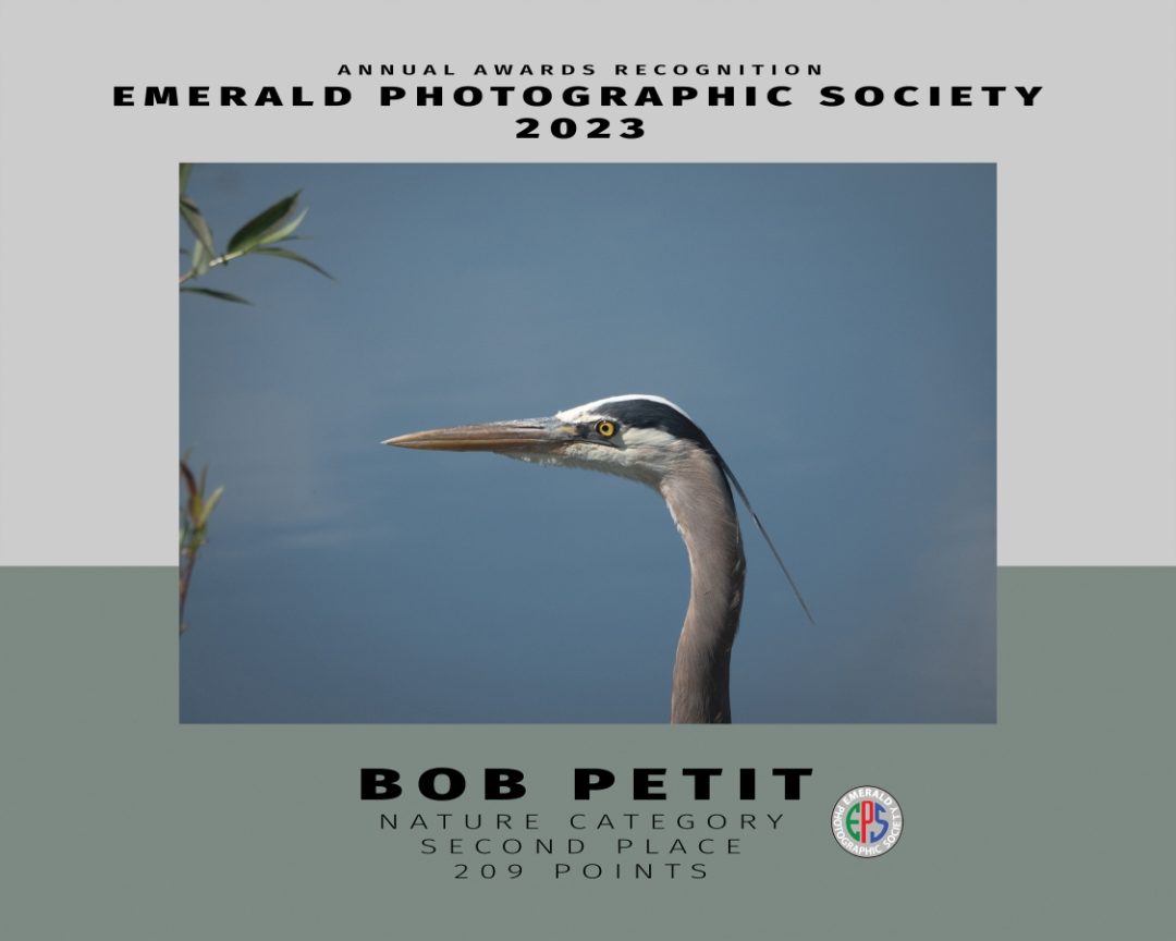 010 nature 2 petit_s