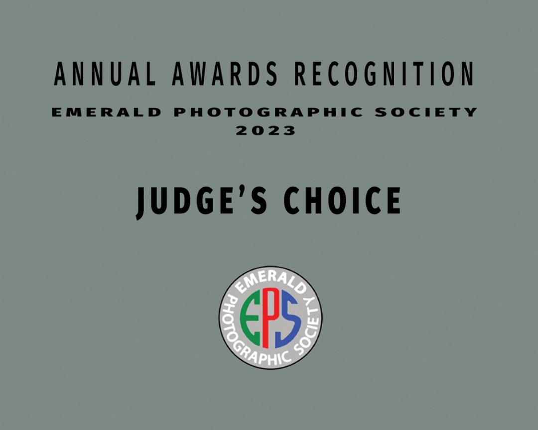 038 judges choice_s