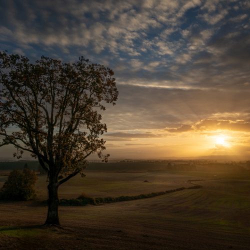 Pictorial / Valley Sunset / Rick Hafele