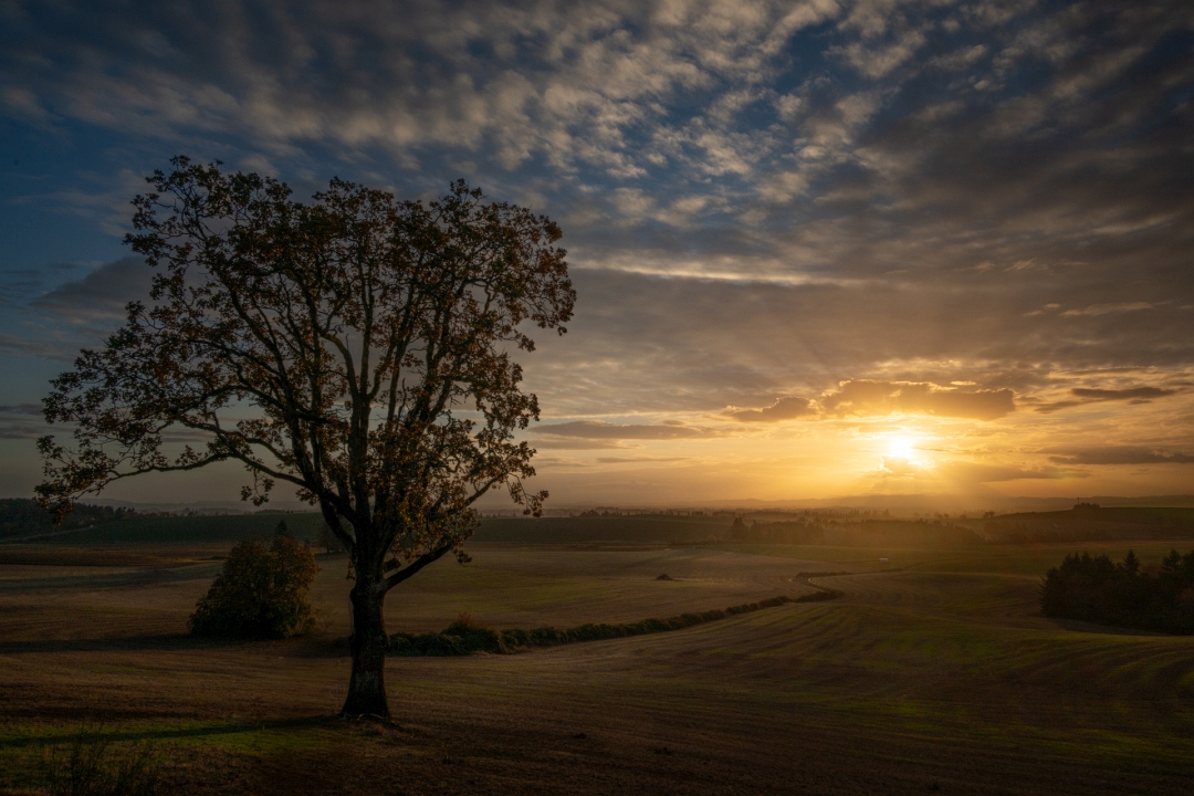 DEC 2025 Pictorial_Valley Sunset_Rick Hafele