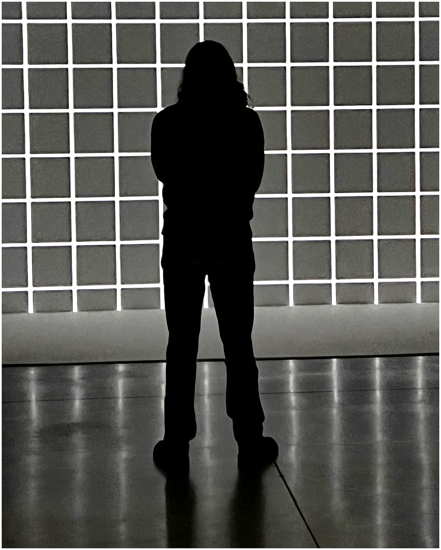 Cell Phone_Charles Maniaci_Contemplating the Grid – Copy