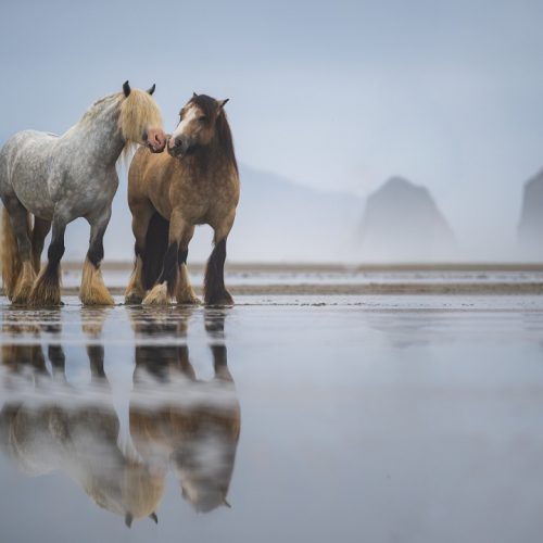 Pictorial, Gary Lentsch,A Moment Between Friends,27